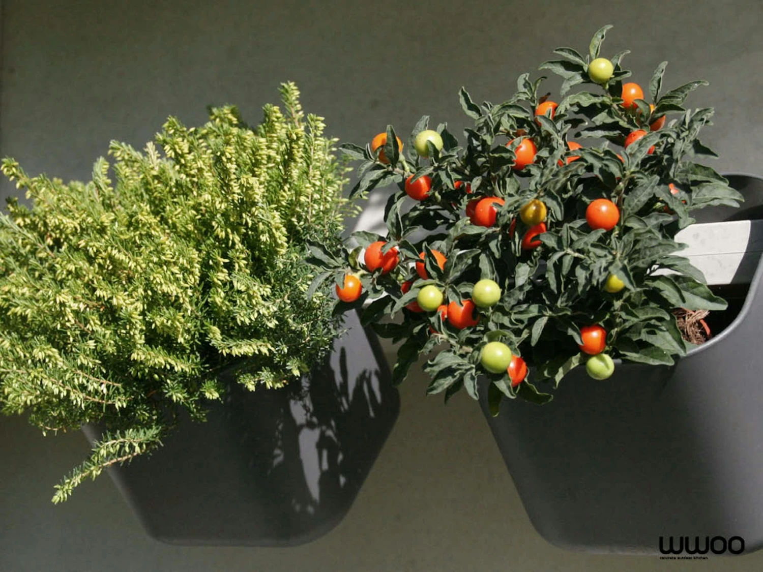 WWOO Designbeton-Outdoorküche Paco – Bild 5